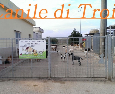 Continua la rivolta presso il canile